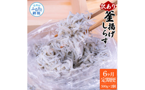 t198mmk　〈6ヶ月定期便〉訳あり 釜揚げシラス 500g×2個 定期便 定期コース 6ヶ月 しらす シラス 釜揚げ 新鮮 塩分控えめ 離乳食 わけあり ワケあり 不揃い しらす丼 海鮮丼 お茶漬け 1185749 - 高知県芸西村