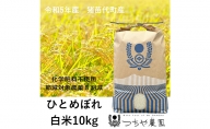 【令和5年産】猪苗代町産 特別栽培米ひとめぼれ 10kg（精米）