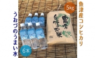 【無洗米＆うまい水】富山県魚津産コシヒカリと魚津のうまい水（こだわり栽培）