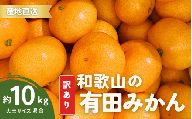 家庭用 訳あり 有田みかん 和歌山 大玉(2L,3Lサイズ混合) 10kg[10月上旬〜1月下旬頃に順次発送]/ みかん フルーツ 果物 くだもの 有田みかん 蜜柑 柑橘[ktn012A]