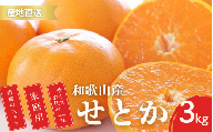 [先行予約]秀品 せとか 和歌山 有田 化粧箱 M〜2Lサイズ 大きさお任せ 3kg[2月中旬〜3月下旬頃に順次発送]/ みかん フルーツ 果物 くだもの 蜜柑 柑橘[ktn014A]