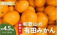 家庭用 有田みかん 和歌山 訳あり わけあり 大玉(2L,3Lサイズ混合) 約4.5kg[11月上旬〜1月下旬頃に順次発送]/ みかん フルーツ 果物 くだもの 有田みかん 蜜柑 柑橘[ktn011A]