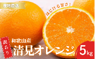 [先行予約]訳あり きよみ 清見オレンジ 和歌山 有田 2S〜3Lサイズ混合 5kg [2月中旬〜3月下旬頃に順次発送]/ みかん フルーツ 果物 くだもの 蜜柑 柑橘[ktn023A]