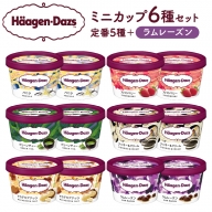 ハーゲンダッツ アイスクリーム ミニカップ 12個(定番フレーバー&ラムレーズン味)アイス スイーツ デザート