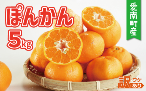 訳あり 家庭用 ぽんかん 5kg サイズ混合 7000円 みかん ポンカン ミカン mikan 国産 期間限定 数量限定 特産品 ジュース 人気 限定 愛南  新鮮 果実 さわやか 風味 甘い フルーツ 果物 柑橘 蜜柑 糖度 産地直送 農家直送 サイズミックス 果樹園 ミッチーのおみかん畑 愛南町 愛媛県  1187502 - 愛媛県愛南町