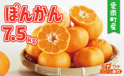 訳あり 家庭用 ぽんかん 7.5kg サイズ混合 10000円 みかん ポンカン ミカン mikan 国産 期間限定 数量限定 特産品 ジュース 人気 限定 愛南  新鮮 果実 さわやか 風味 甘い フルーツ 果物 柑橘 蜜柑 糖度 産地直送 農家直送 サイズミックス 果樹園 ミッチーのおみかん畑 愛南町 愛媛県  1187503 - 愛媛県愛南町