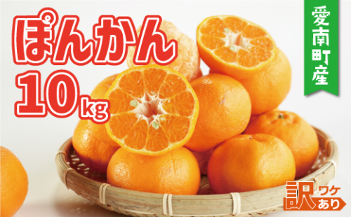 訳あり 家庭用 ぽんかん 10kg サイズ混合 12000円 みかん ポンカン ミカン mikan 国産 期間限定 数量限定 特産品 ジュース 人気 限定 愛南  新鮮 果実 さわやか 風味 甘い フルーツ 果物 柑橘 蜜柑 糖度 産地直送 農家直送 サイズミックス 果樹園 ミッチーのおみかん畑 愛南町 愛媛県  1187504 - 愛媛県愛南町