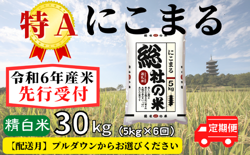 令和6年産】特Aにこまる【精白米】30kg 定期便（5kg×6回）岡山県総社市