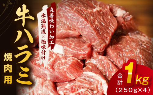 【氷温熟成×極味付け】牛肉 ハラミ 1kg（250g×4） mrz0021 1187538 - 大阪府泉佐野市