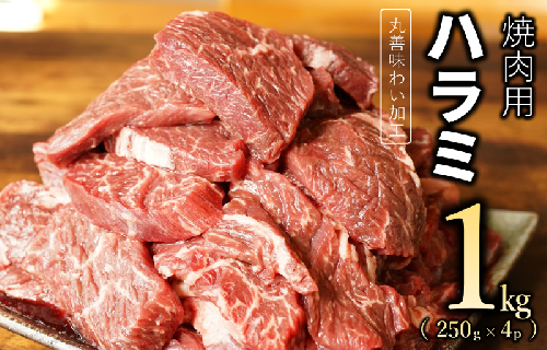 【丸善味わい加工】牛肉 ハラミ 1kg（250g×4） 010B1347 1187538 - 大阪府泉佐野市