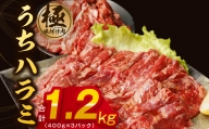 【丸善特製ダレ】希少部位 牛肉 うちハラミ 1.2kg（400g×3） 010B1348