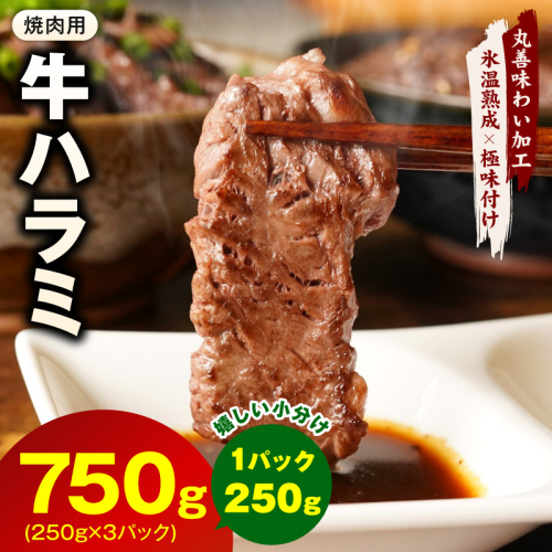 牛肉 ハラミ 750g 小分け 250g×3P【氷温熟成×極味付け 牛肉 訳あり 不揃い 焼肉 BBQ 野菜炒め】 mrz0249 1187543 - 大阪府泉佐野市