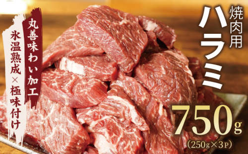 【氷温熟成×極味付け】牛肉 ハラミ 750g（250g×3） mrz0020 1187543 - 大阪府泉佐野市