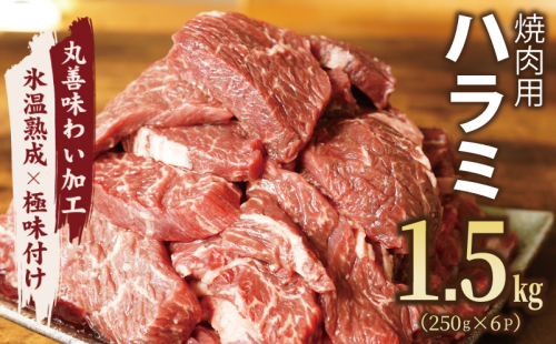 【氷温熟成×極味付け】牛肉 ハラミ 1.5kg（250g×6） mrz0022 1187544 - 大阪府泉佐野市