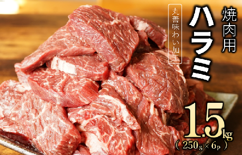 【丸善味わい加工】牛肉 ハラミ 1.5kg（250g×6） 099H2443 1187544 - 大阪府泉佐野市