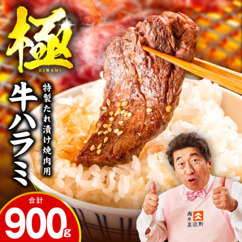 牛肉 ハラミ 900g 小分け 300g×3P【氷温熟成×特製ダレ 味付き 牛肉 訳あり 不揃い 焼肉 BBQ 野菜炒め 圧倒的企業努力】 mrz0268-1 1187548 - 大阪府泉佐野市