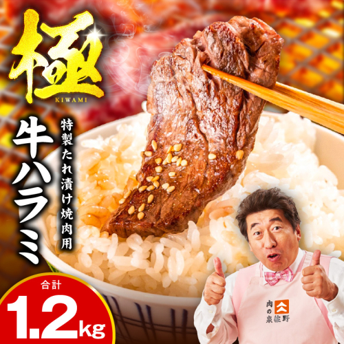 牛肉 ハラミ 1.2kg 小分け 300g×4P【氷温熟成×特製ダレ 味付き 牛肉 訳あり 不揃い 焼肉 BBQ 野菜炒め 圧倒的企業努力】 mrz0269-1 1187549 - 大阪府泉佐野市