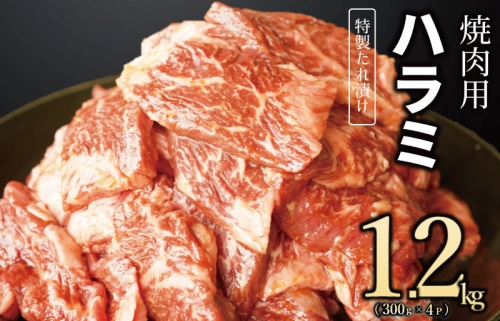 【丸善特製ダレ】牛肉 ハラミ 1.2kg（300×4） 099H2448 1187549 - 大阪府泉佐野市