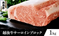 63-42新潟県産 越後牛サーロインブロック1kg