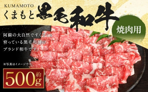 くまもと 黒毛和牛 焼肉用 約500g 1188117 - 熊本県益城町
