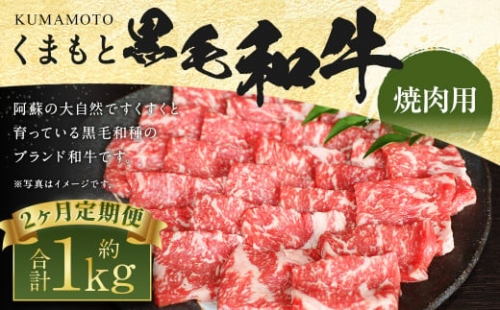 【定期便2回】くまもと 黒毛和牛 焼肉用 約500g 1188120 - 熊本県益城町
