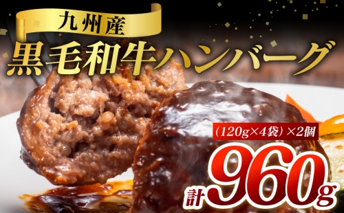 九州産 黒毛和牛ハンバーグ 960g (120g×8個) 1188507 - 熊本県八代市