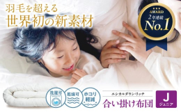 世界初特許取得の新素材「エアーフレイク(R)」は、天然羽毛のデメリットを改善した「人工羽毛＝エシカルダウン」です。リサイクルペットボトルを100％原料とし、よりサステナブルに。さらに約2倍にふんわり感