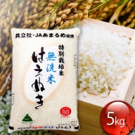 【21-1007】令和3年産米　特別栽培米はえぬき無洗米5kg
