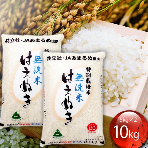 特別栽培米はえぬき無洗米  10kg 118857 - 山形県庄内町