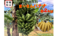 「希少価値の高い有機栽培」やんばる東村産まーさんバナナ（約2kg）2024年6月頃発送開始予定