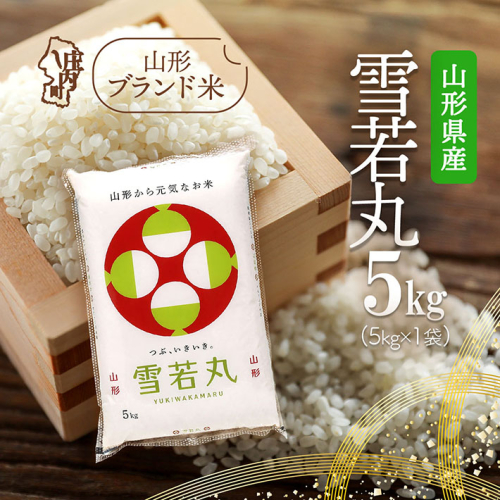 山形県産 雪若丸 5kg 令和7年産 2025年産 ブランド米 118876 - 山形県庄内町