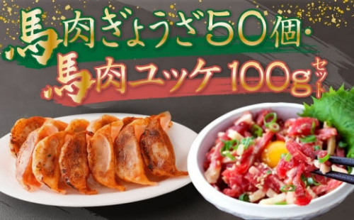 熊本 馬刺し 馬肉 ぎょうざ (50個) 馬肉 ユッケ (50ｇ×2袋 計100g) セット 1188972 - 熊本県益城町