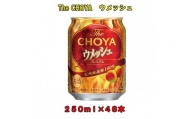 The CHOYAウメッシュ 250ml×２ケース（４８本）