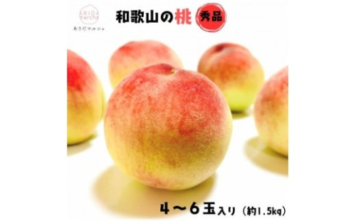 《先行予約・2026年6月～発送》厳選 和歌山のこだわり桃 4～6玉 (約1.5kg)［MS130］ 1189377 - 和歌山県那智勝浦町