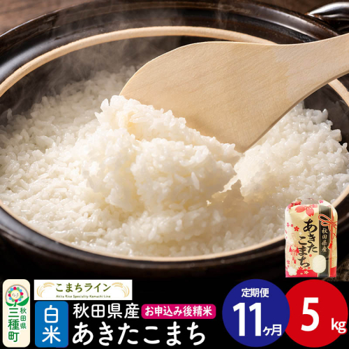 《定期便11ヶ月》【白米】あきたこまち 5kg 秋田県産 令和7年産  こまちライン [秋田 お米 米どころ あきたこまち こまちライン] 1189425 - 秋田県三種町