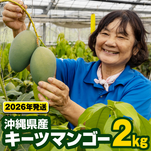【2026年発送】沖縄県産キーツマンゴー2kg 118945 - 沖縄県南風原町