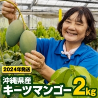 【2024年発送】沖縄県産キーツマンゴー2kg