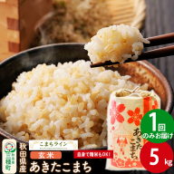 【玄米】あきたこまち 5kg 秋田県産 令和5年産  こまちライン