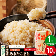 【玄米】あきたこまち 10kg 秋田県産 令和5年産  こまちライン