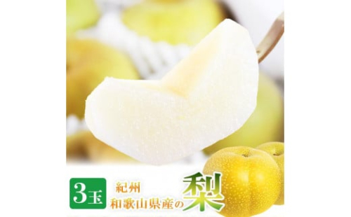 梨 3玉 化粧箱入 紀州和歌山 かつらぎ産［2026年8月中旬以降発送予定］［UT98］ 1189851 - 和歌山県那智勝浦町
