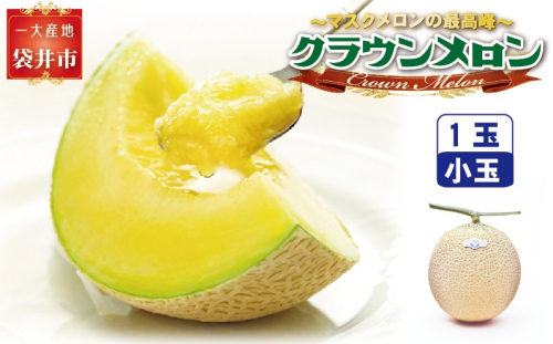 クラウンメロン（白等級）小玉　１玉入 果物類 メロン青肉  119006 - 静岡県袋井市