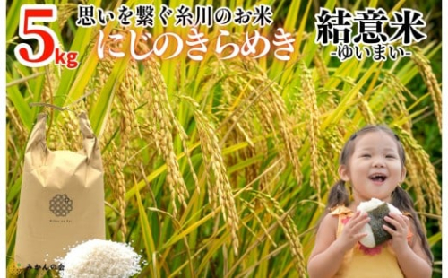 お米 5kg 思いを繋ぐ糸川のお米 結意米 【ゆいまい】和歌山県産 【みかんの会】 1190138 - 和歌山県有田川町