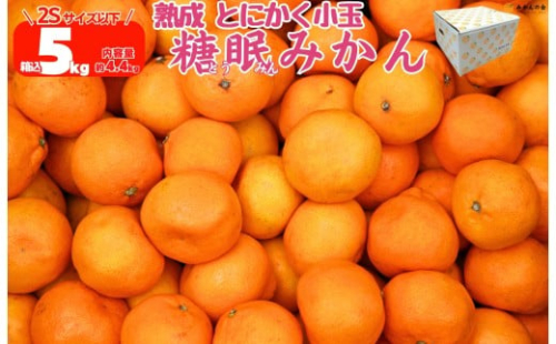 ［先行予約］熟成 みかん とにかく 小玉 箱込5kg ( 内容量 4.4kg ) 2Sサイズ以下 秀品 優品 混合 有田みかん 和歌山産 産地直送 家庭用 【みかんの会】 1190152 - 和歌山県有田川町
