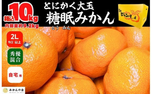 熟成 みかん とにかく 大玉 箱込10kg ( 内容量 9.2kg )2Lサイズ以上 秀品 優品 混合 有田みかん 和歌山産 産地直送 家庭用【みかんの会】 1190153 - 和歌山県有田川町