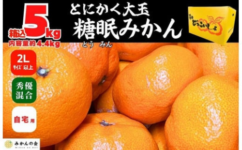 熟成 みかん とにかく 大玉 箱込5kg ( 内容量 4.4kg )2Lサイズ以上 秀品 優品 混合 有田みかん 和歌山産 産地直送 家庭用【みかんの会】 1190154 - 和歌山県有田川町