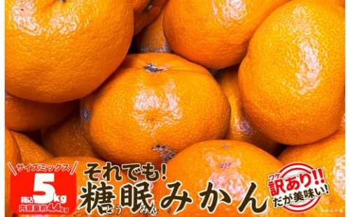 ［先行予約］訳あり それでも 熟成みかん 箱込5kg ( 内容量 4.4kg ) サイズミックス Ｂ品 有田みかん 和歌山県産 産地直送 家庭用 【みかんの会】 1190157 - 和歌山県有田川町