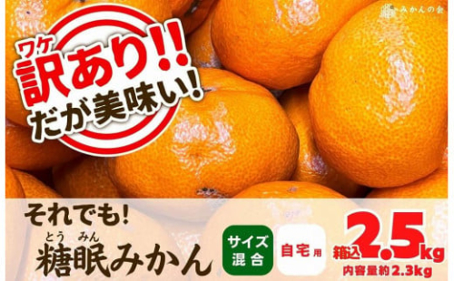 訳あり それでも 熟成みかん 箱込2.5kg ( 内容量 2.3kg ) サイズミックス Ｂ品 有田みかん 和歌山県産 産地直送 家庭用 【みかんの会】 1190158 - 和歌山県有田川町