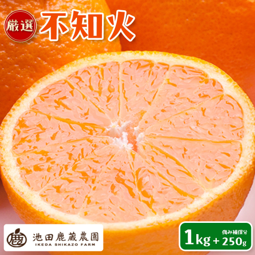［先行予約］厳選 不知火1kg+250g（傷み補償分）［デコポンと同品種・人気の春みかん］ 1190186 - 和歌山県有田川町