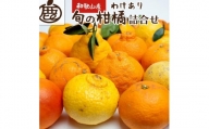 旬の柑橘詰合せ2kg+60g（傷み補償分）【家庭用 訳あり 先行予約】