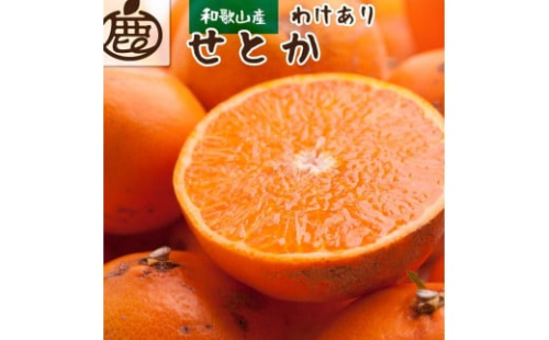 ［先行予約］家庭用 せとか1kg+250g（傷み補償分）［柑橘・春みかんの王様］［わけあり・訳あり］［光センサー選果・食べ頃出荷］［IKE118w］ 1190189 - 和歌山県有田川町